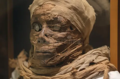 Egyptian Mummy