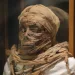 Egyptian Mummy
