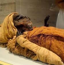Egyptian Mummy